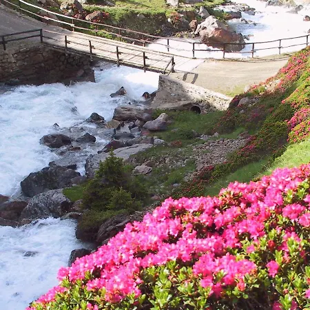 Apartament Anemone *