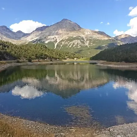 Apartament Anemone *